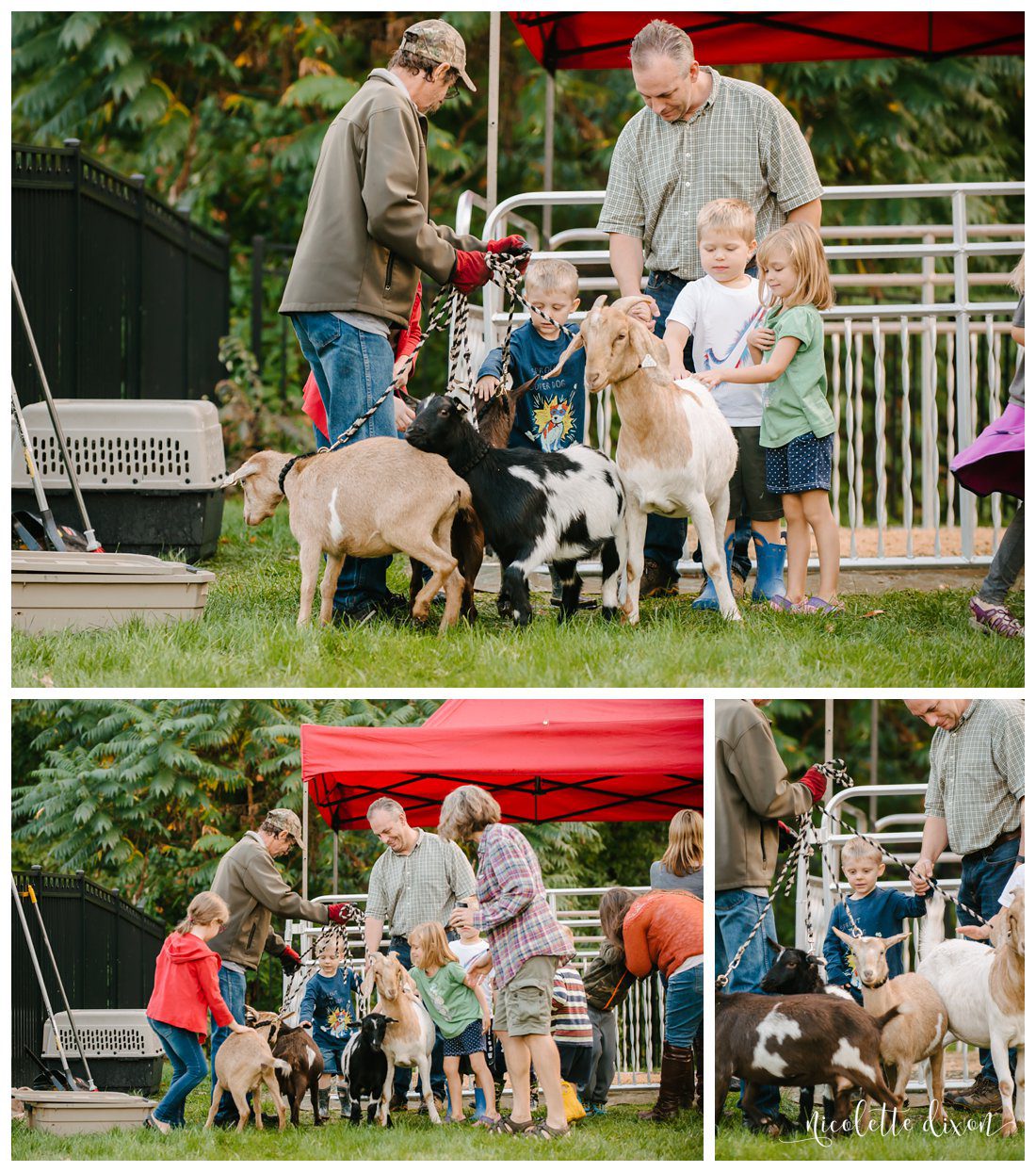 Pittsburgh Family Photographer