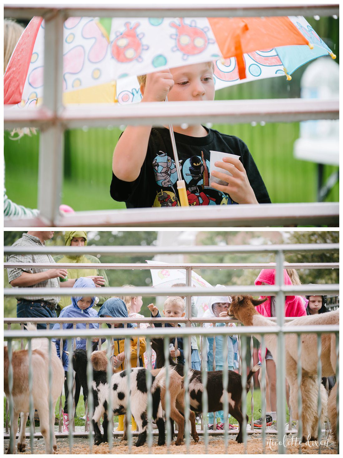 Pittsburgh Family Photographer