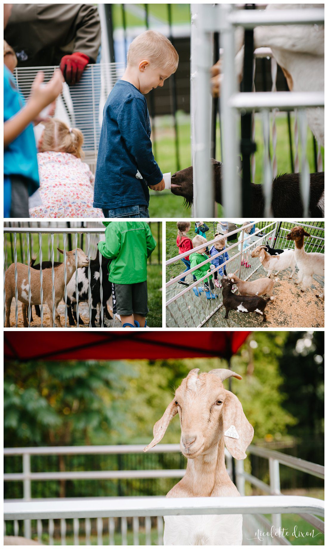 Pittsburgh Family Photographer