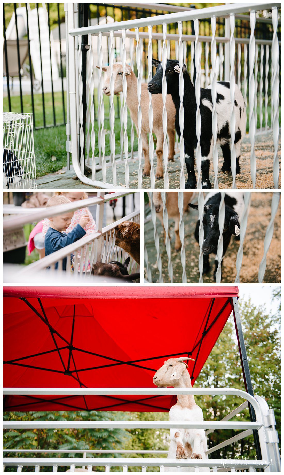 Pittsburgh Family Photographer