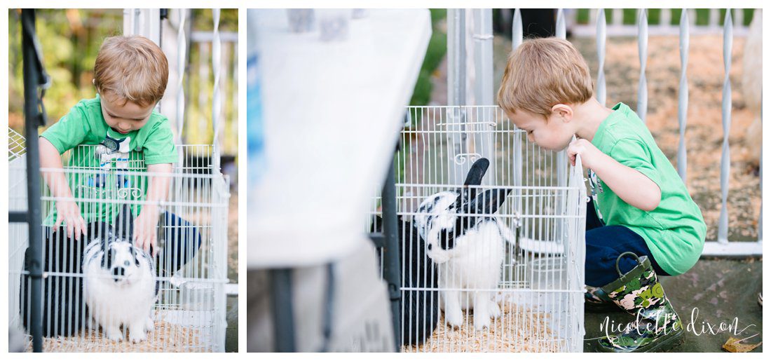 Pittsburgh Family Photographer