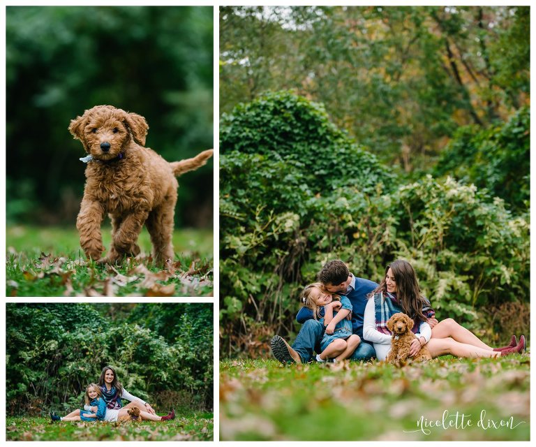 Pittsburgh Family Photographer