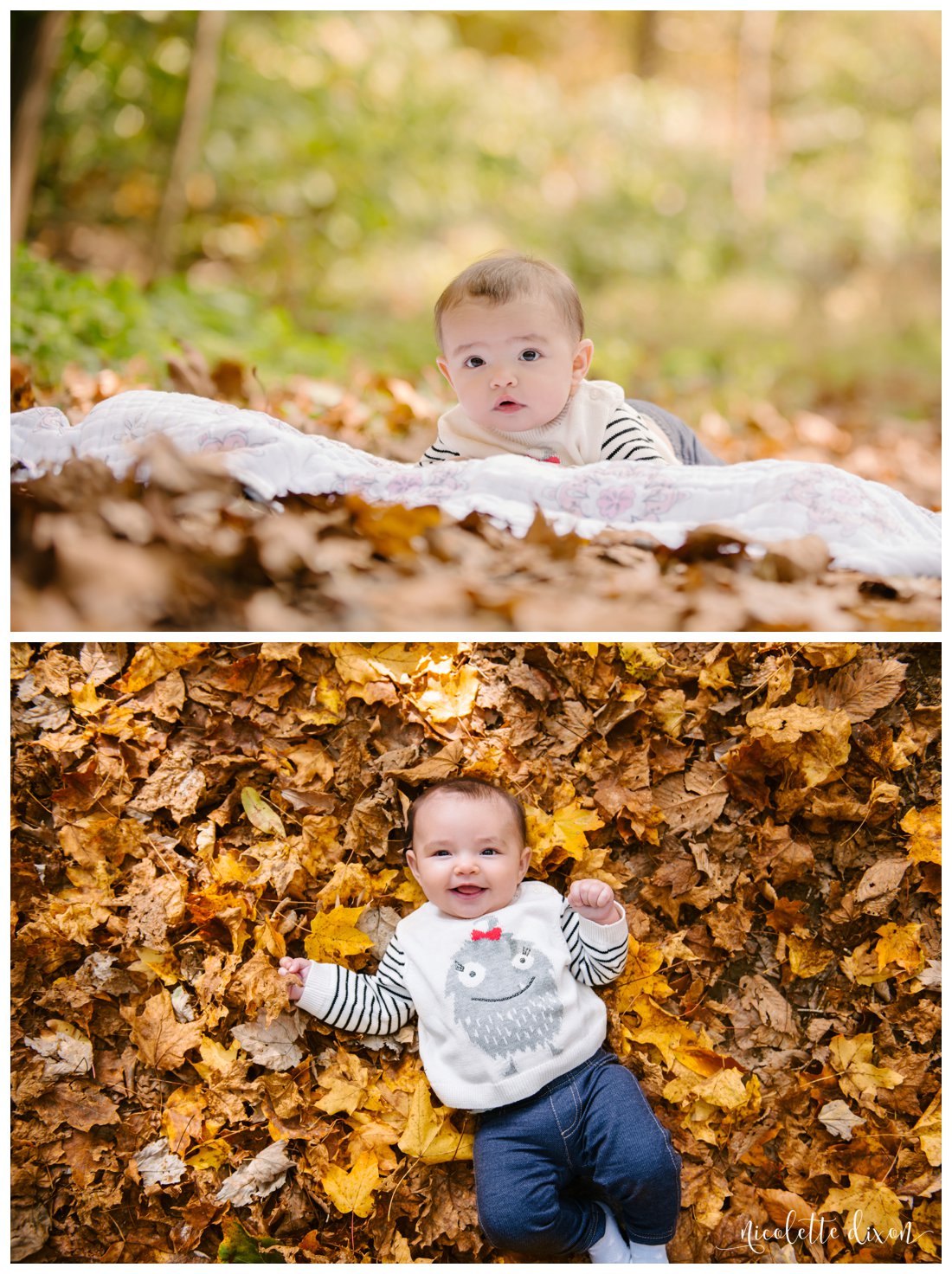 Pittsburgh Family Photographer | Frick Park Family Photography ...