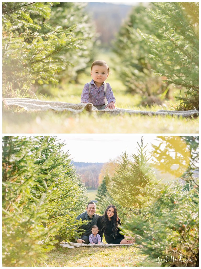 Pittsburgh Family Photographer