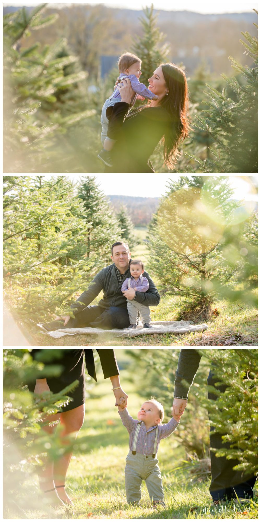 Pittsburgh Family Photographer