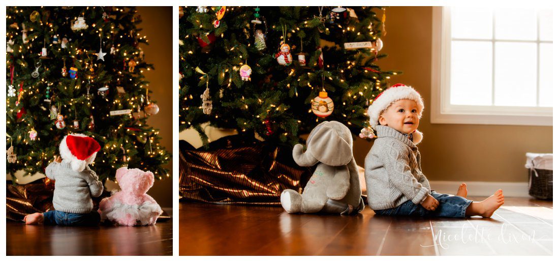 Pittsburgh Family Photographer