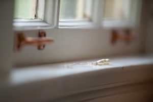 Pittsburgh Wedding Photographer