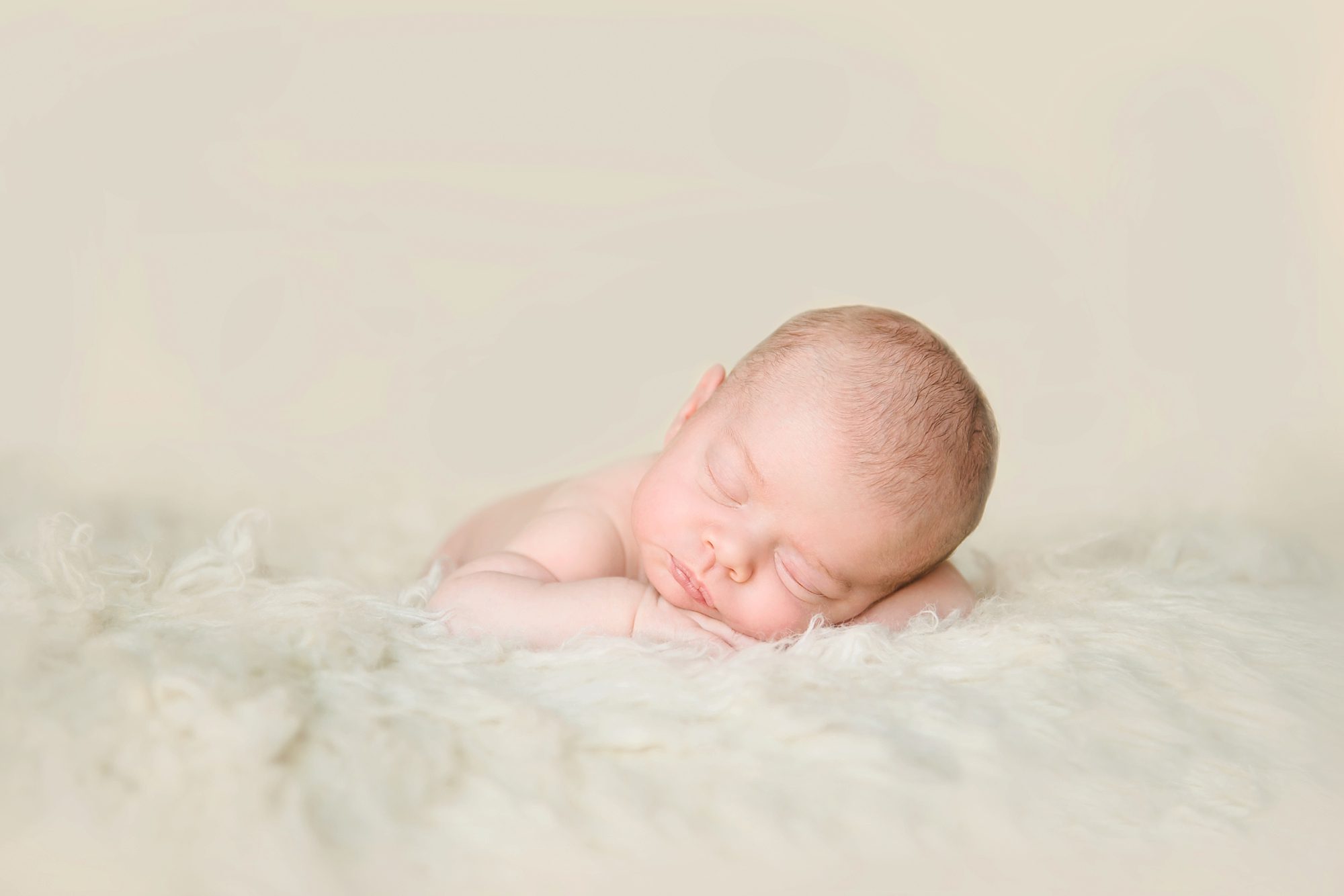 Pittsburgh Newborn Photographer
