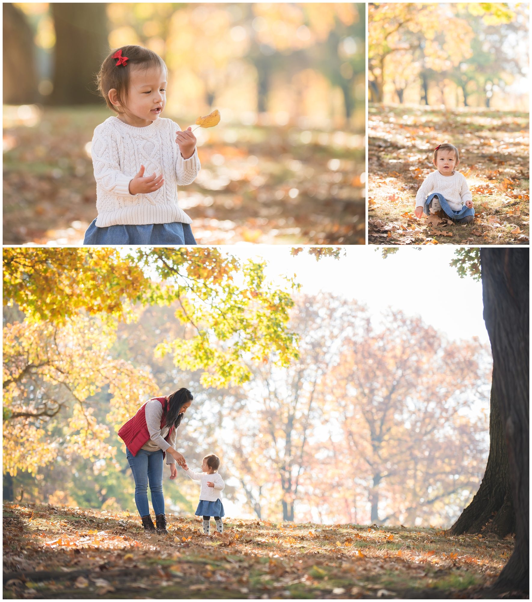Pittsburgh Family Photographer