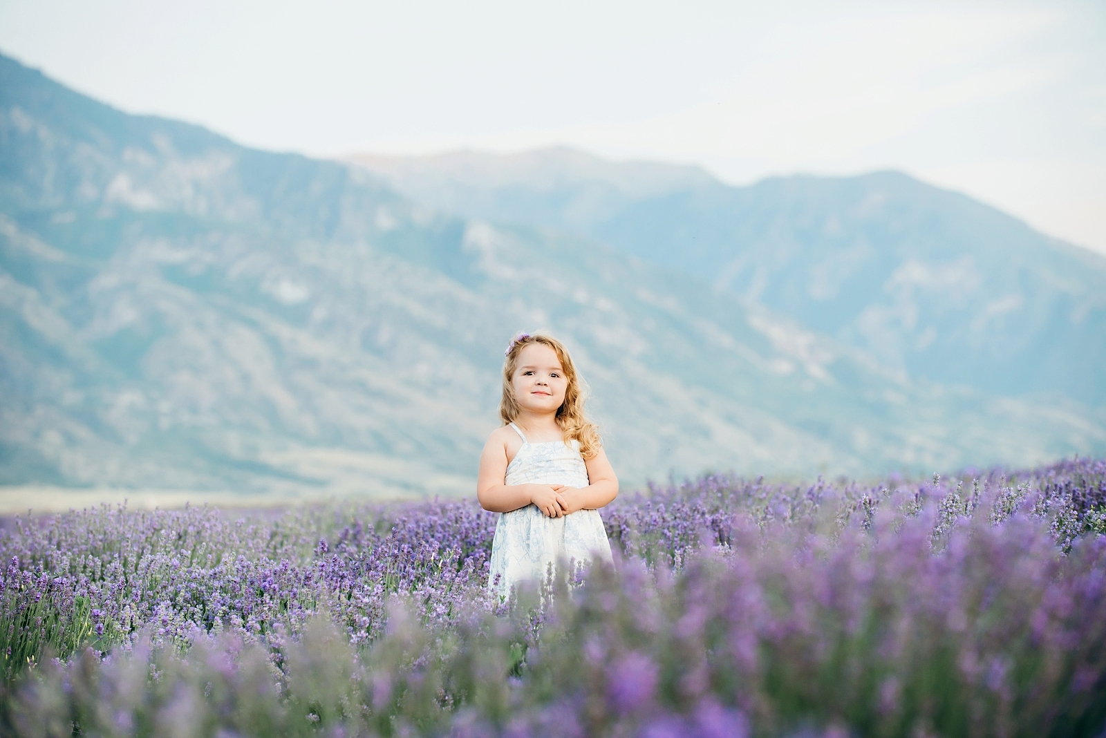 Child standing in lavender field in Pittsburgh