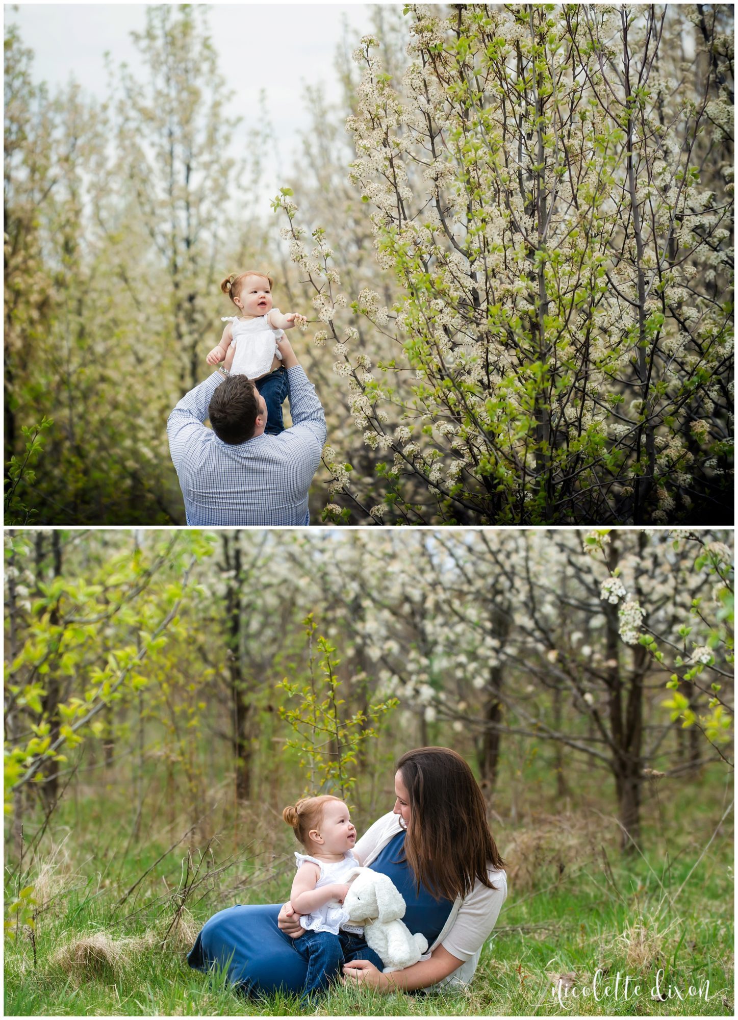 Pittsburgh Family Photographer