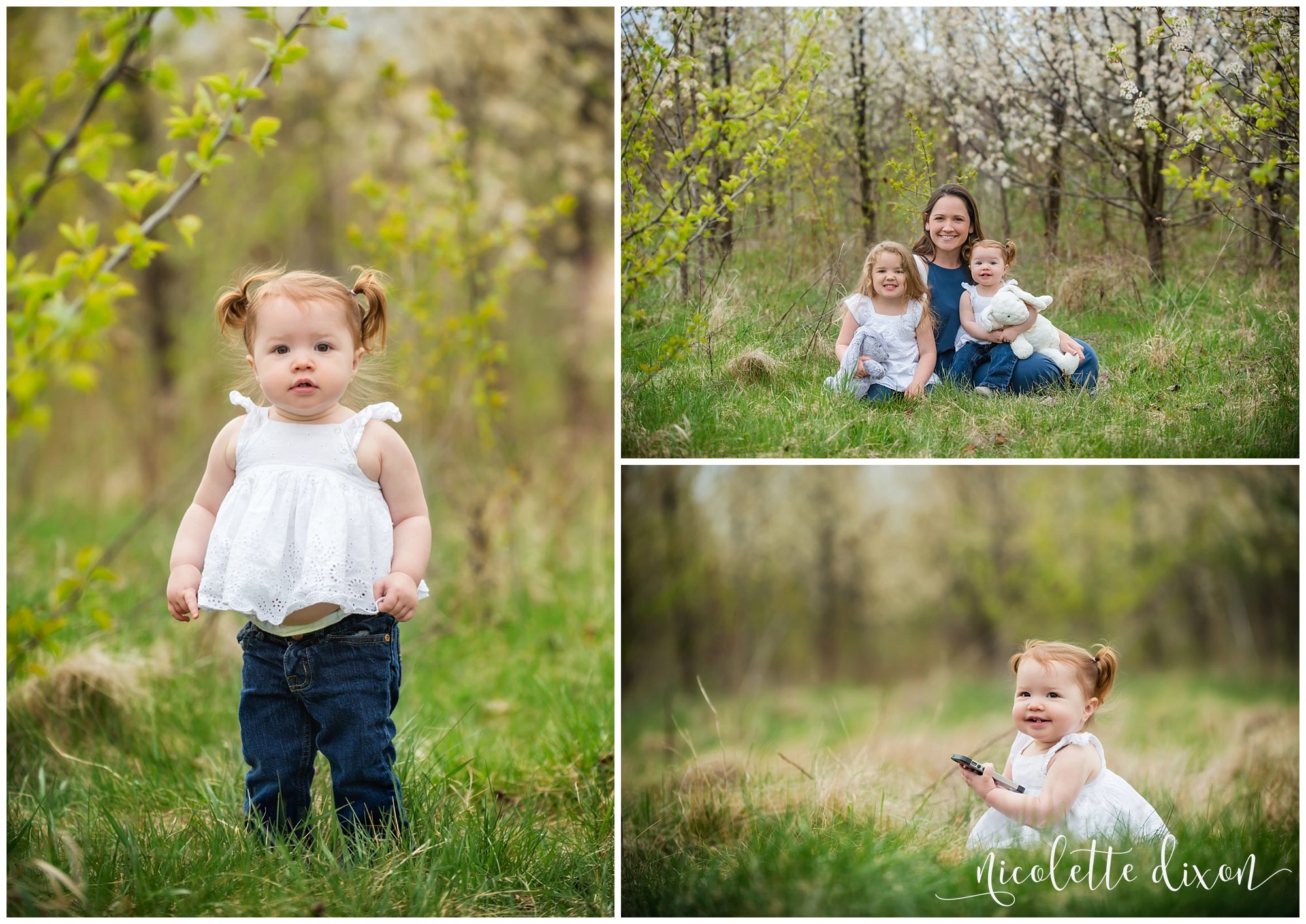 Pittsburgh Family Photographer
