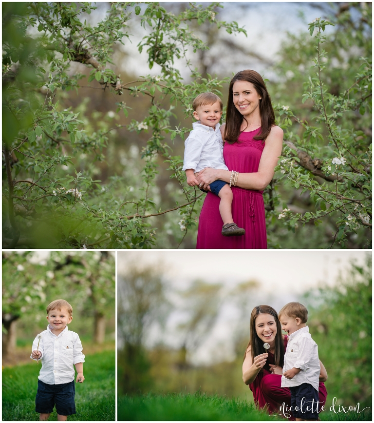 Pittsburgh Family Portrait Photographers | Mom and Son in Soergel Apple Orchards near Pittsburgh