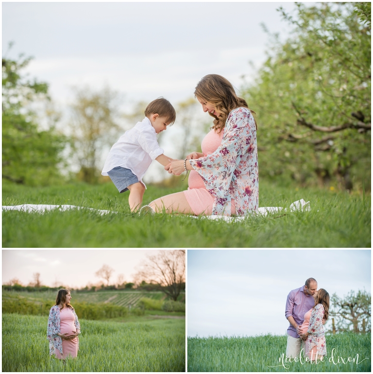 Son Touching Pregnant Mothers Belly in Apple Orchard Near Pittsburgh