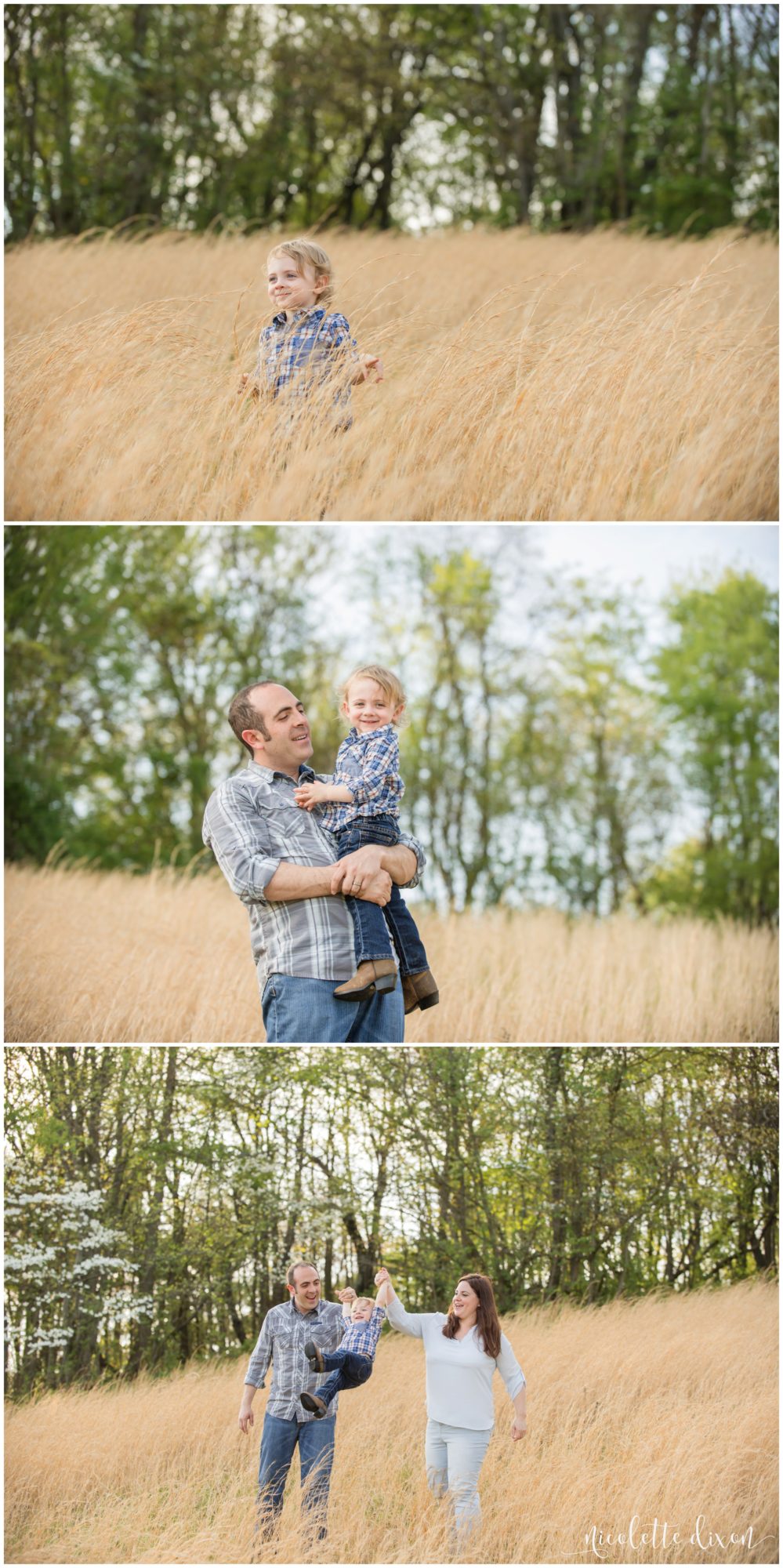 Pittsburgh Children's Photographers | Dad holding son in field