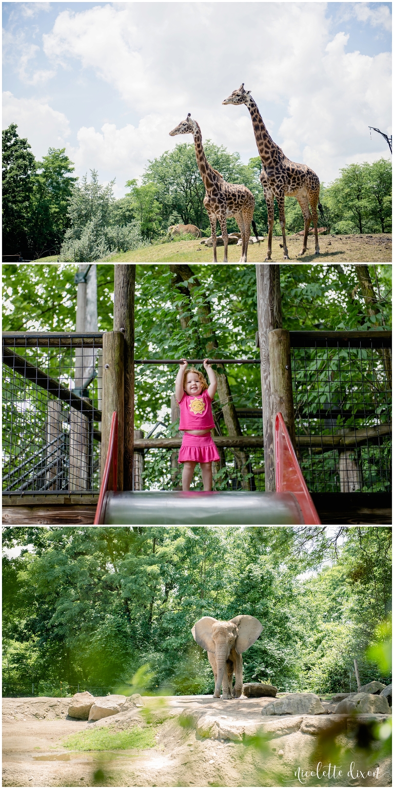 Girl playing on slide at Pittsburgh Zoo