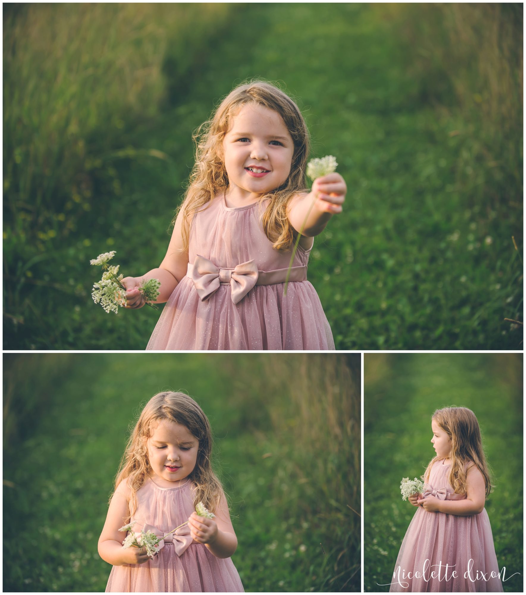 Girl picking flowers in Sewickley Heights Borough Park near Pittsburgh