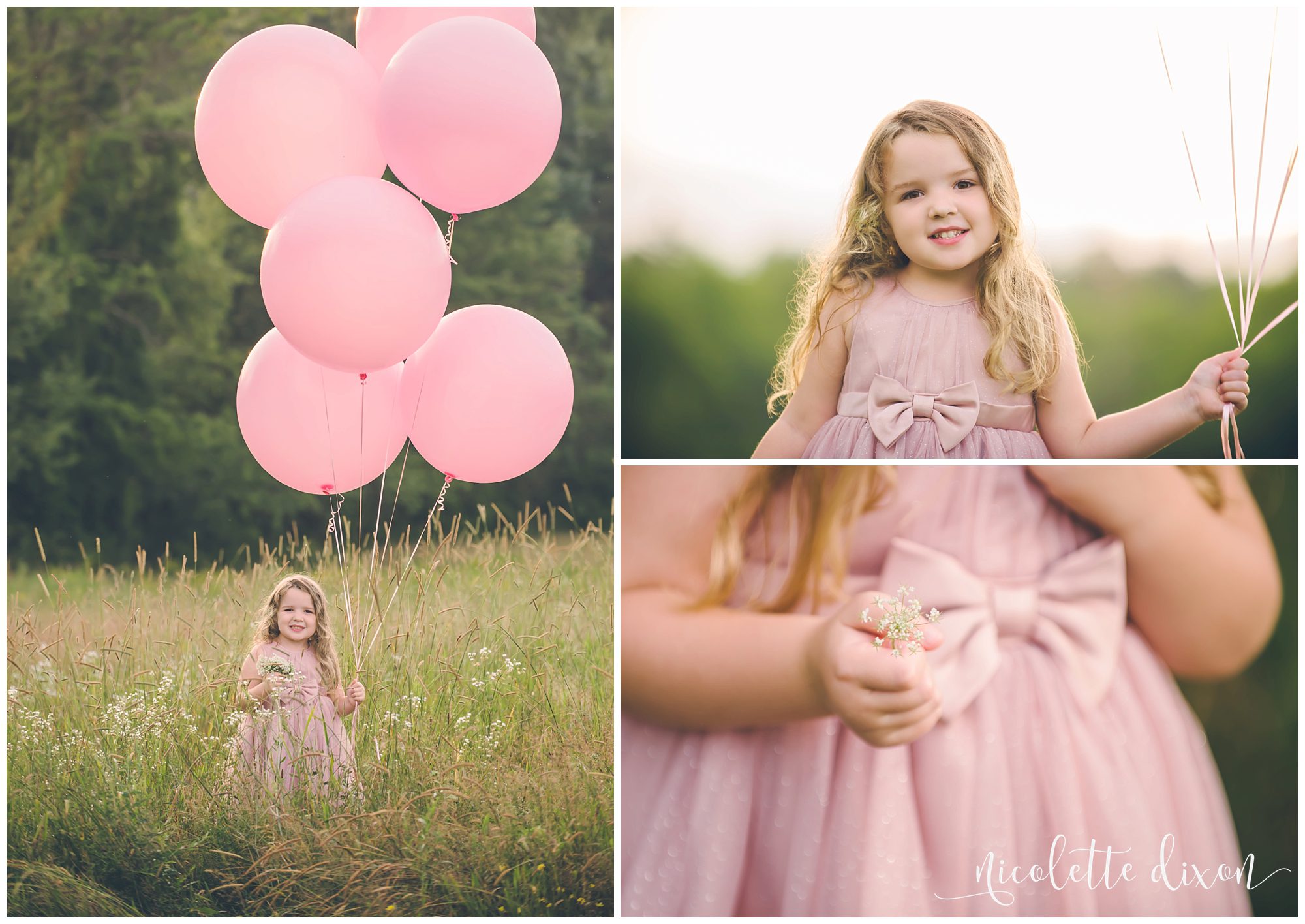 Girl holding flower in field in Sewickley Heights Borough Park near Pittsburgh
