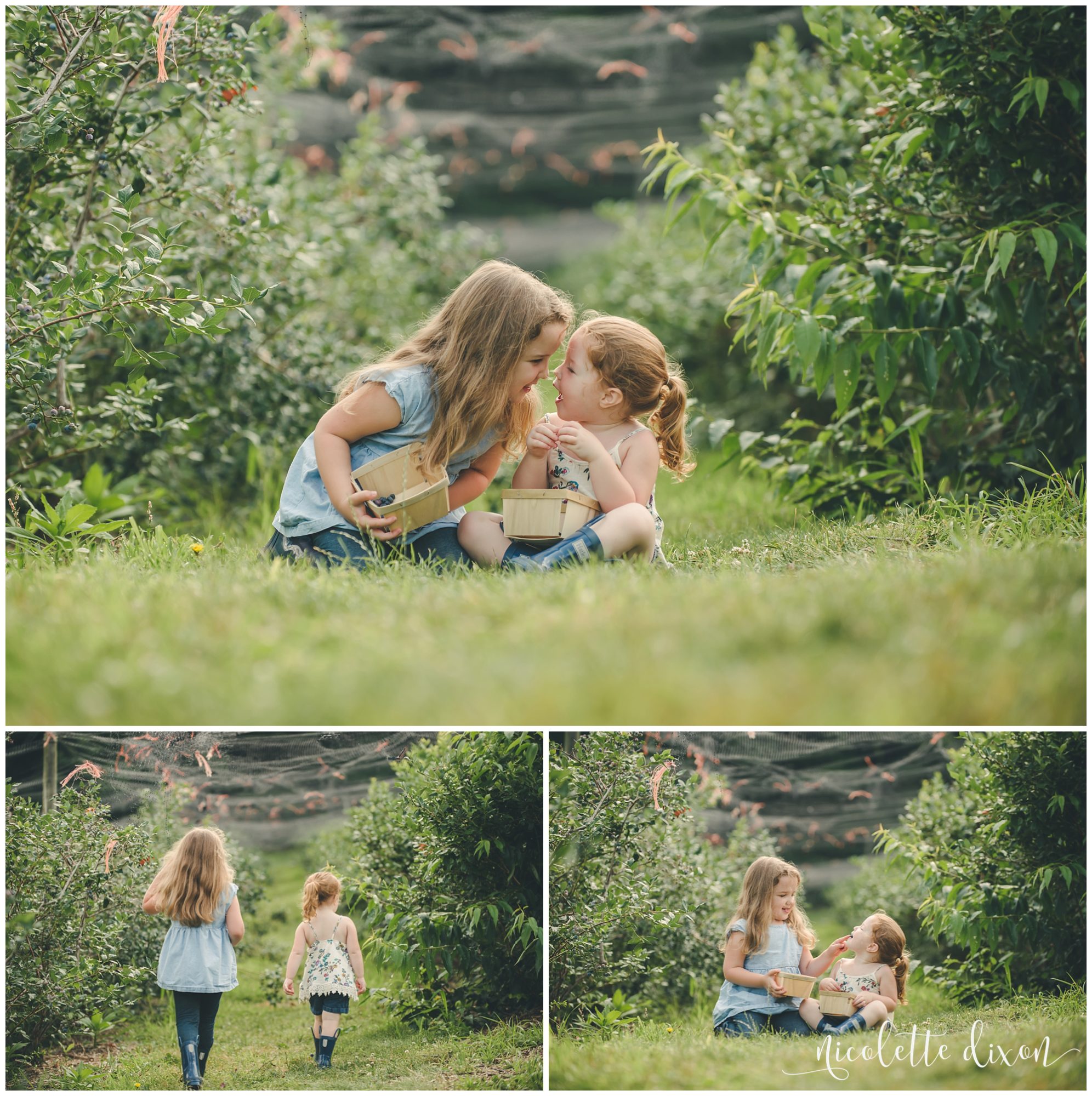 Girls playing in blueberry patch at Soergel Orchards near Pittsburgh