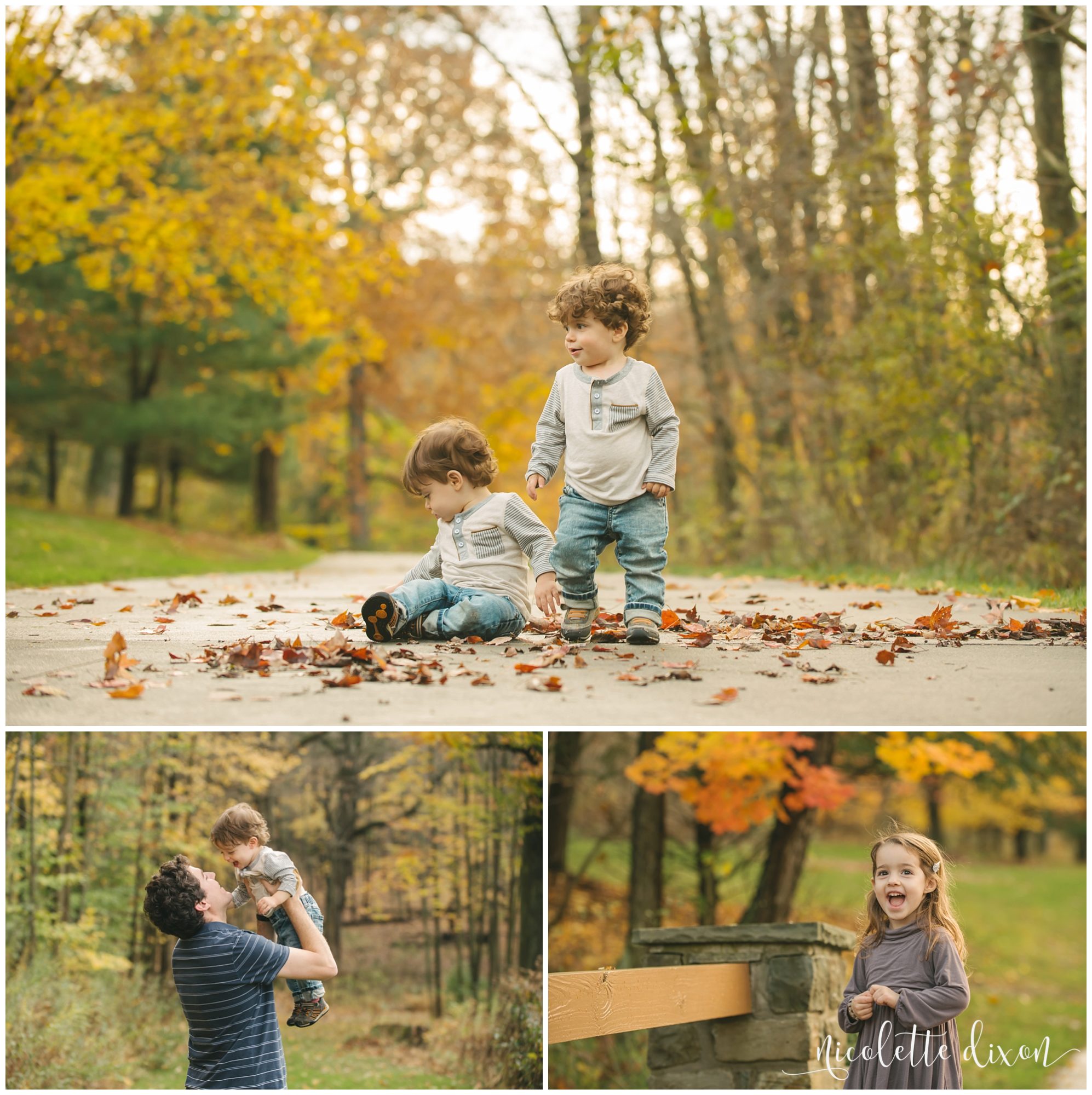 Twin boys playing in leaves in Washington PA near Pittsburgh