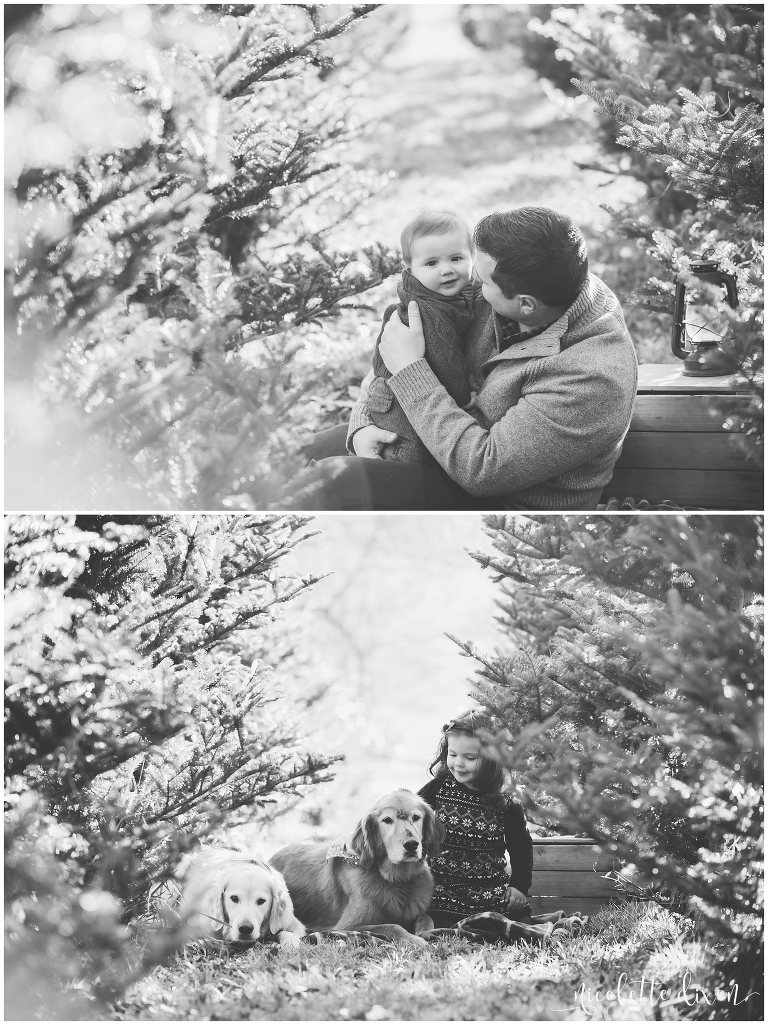 Dad holding son at Nutbrown's Christmas Tree Farm near Pittsburgh