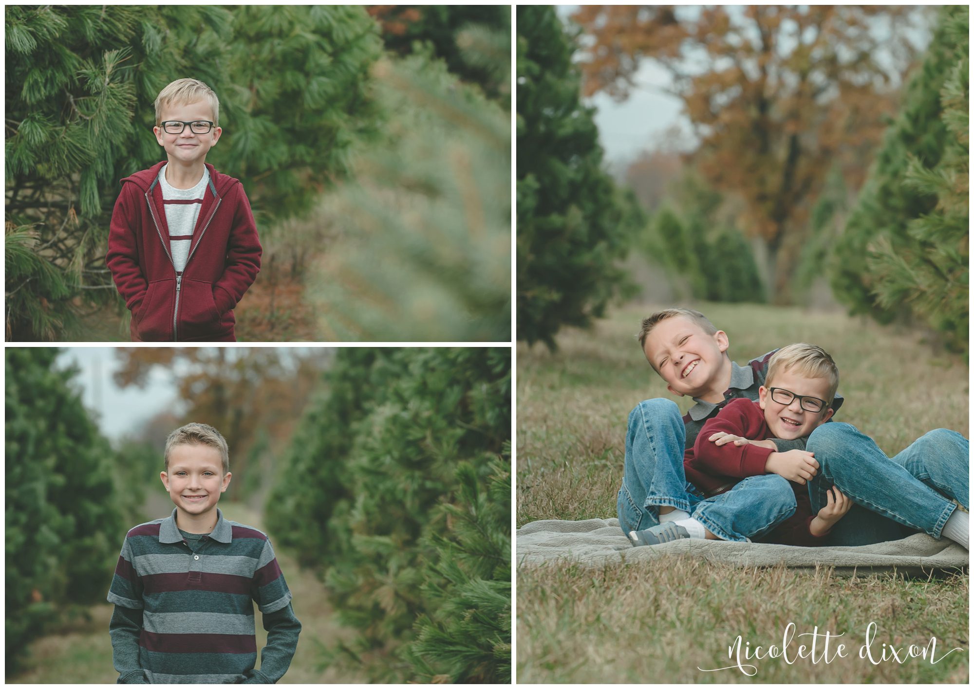 Brother's tickling each other on the grass at Allison's Christmas Trees near Pittsburgh
