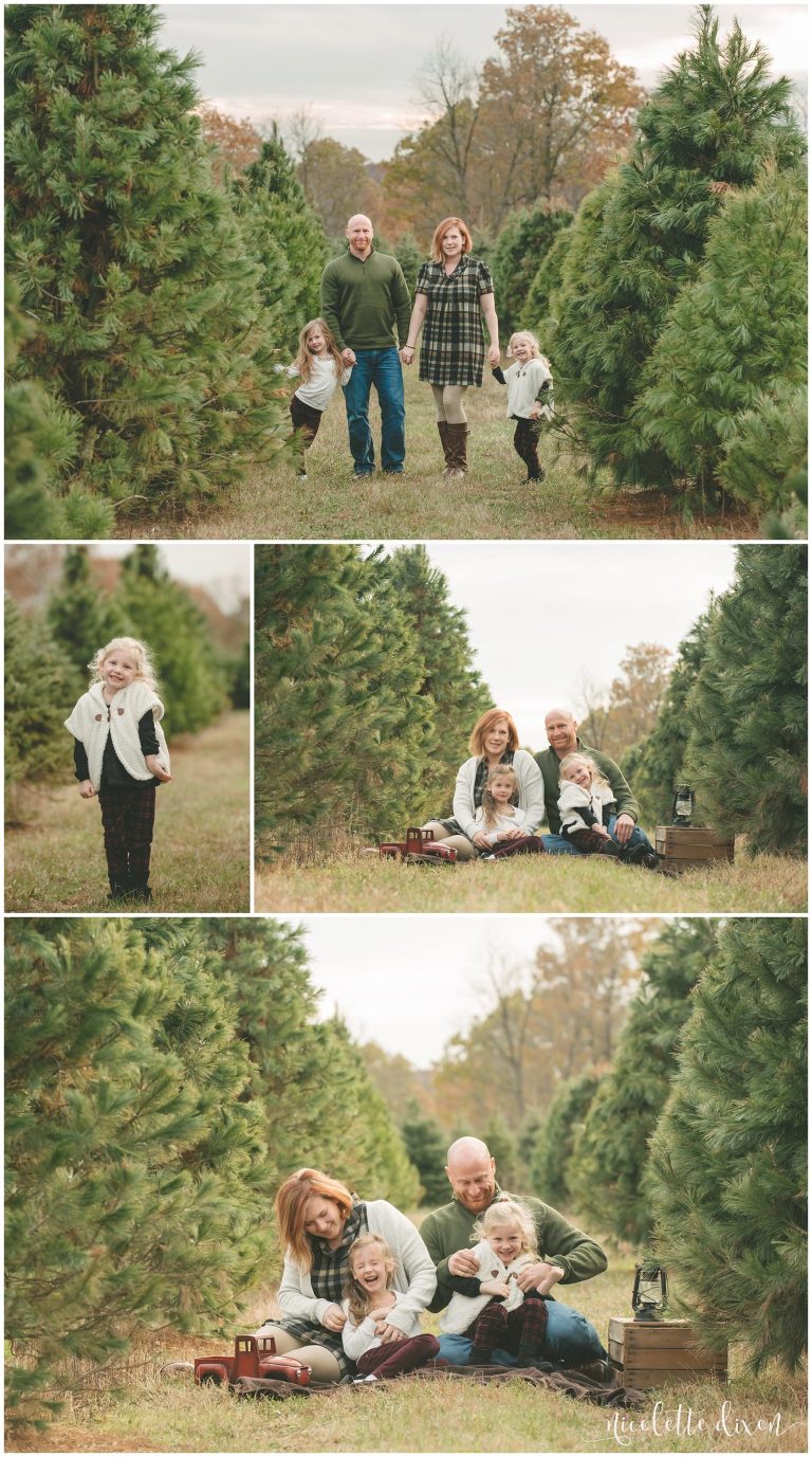 Family holding hands and standing together at Allison's Christmas Trees near Pittsburgh