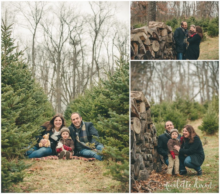 Mom and dad holding their son near a wood pile at Nutbrown's Christmas Tree Farm near Pittsburgh