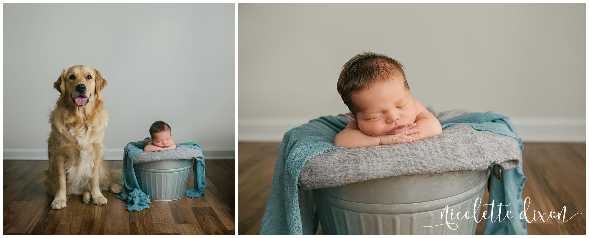 Golden retriever dog sitting next to infant boy in studio in Moon Township near Pittsburgh