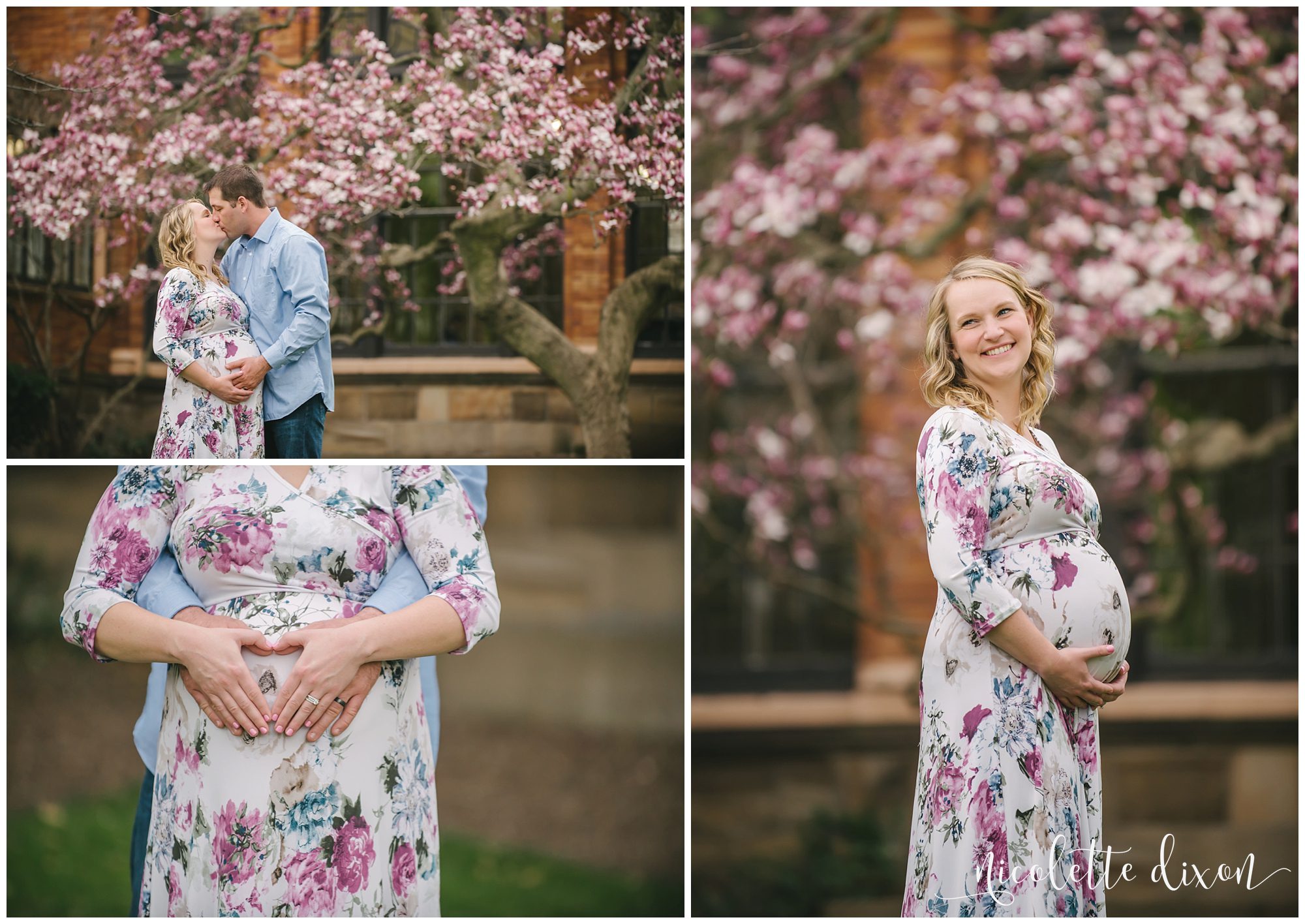 Pregnant woman holding belly in front of magnolia tree at the University of Pittsburgh near Pittsburgh