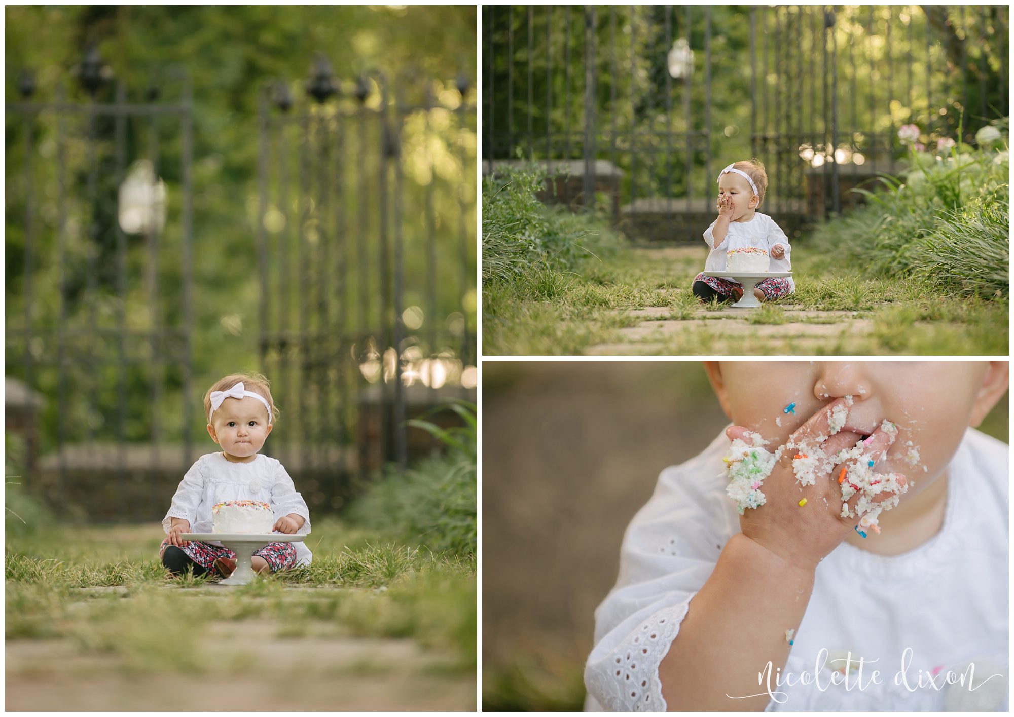 One Year Old Baby Girl Smashing Birthday Cake at Mellon Park near Pittsburgh