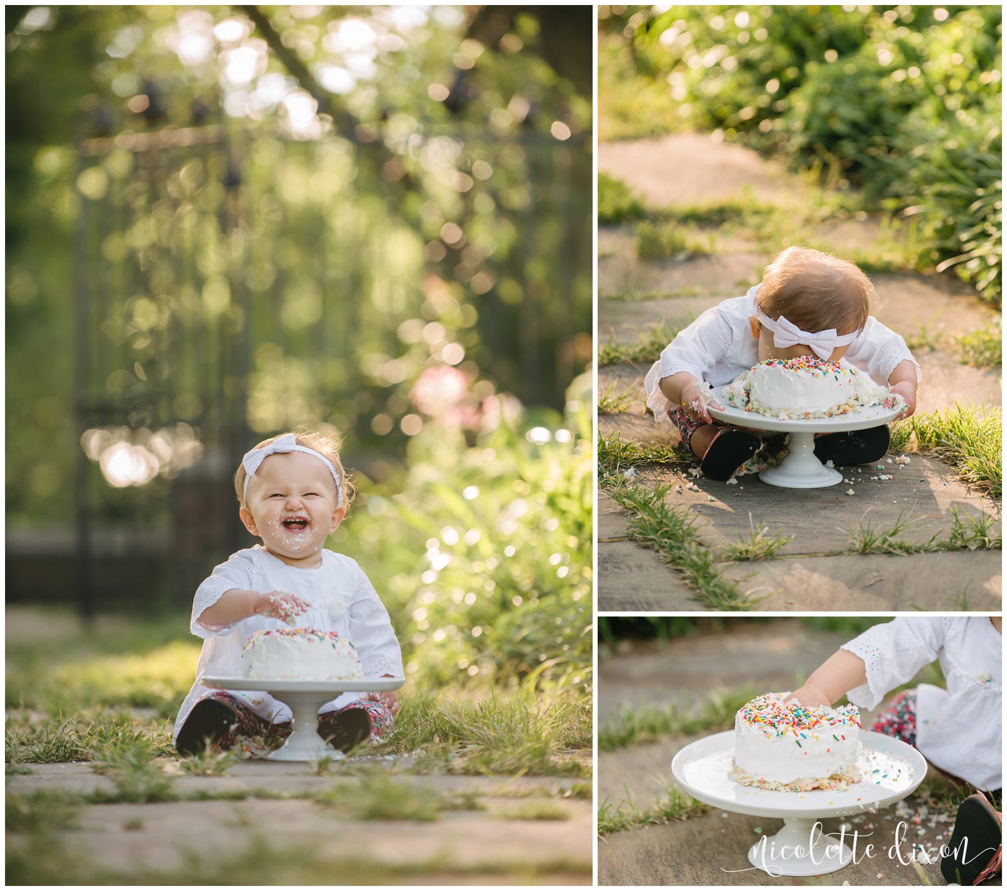 One Year Old Baby Girl Smashing Birthday Cake at Mellon Park near Pittsburgh