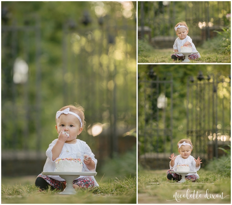 One Year Old Baby Girl Smashing Birthday Cake at Mellon Park near Pittsburgh