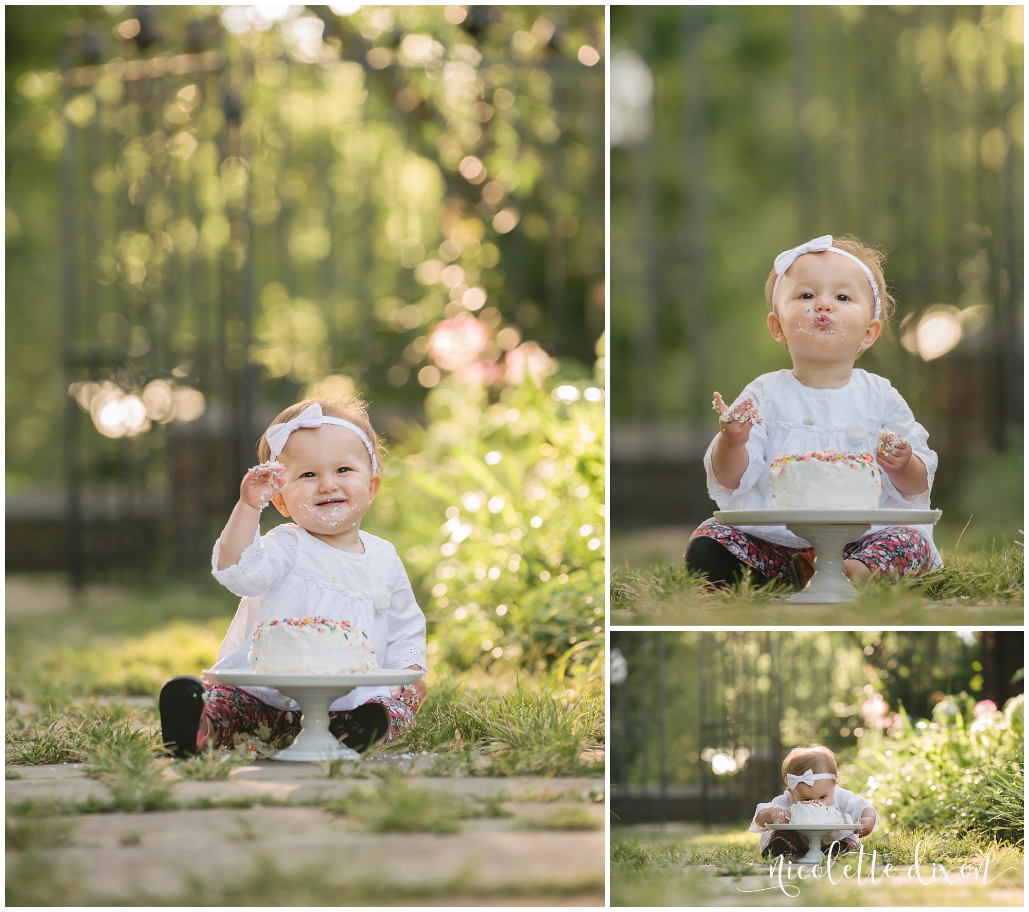 One Year Old Baby Girl Smashing Birthday Cake at Mellon Park near Pittsburgh
