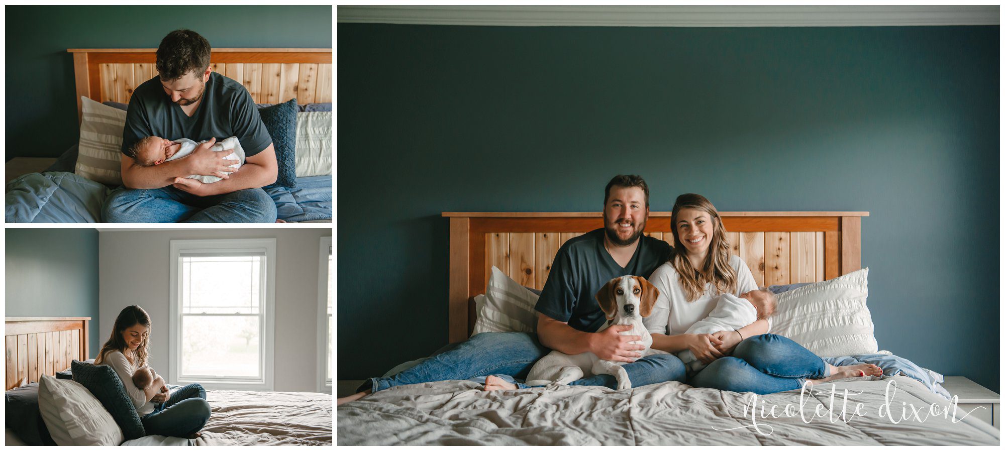 Newborn baby with mother, father and family dog on bed in Cranberry Township near Pittsburgh