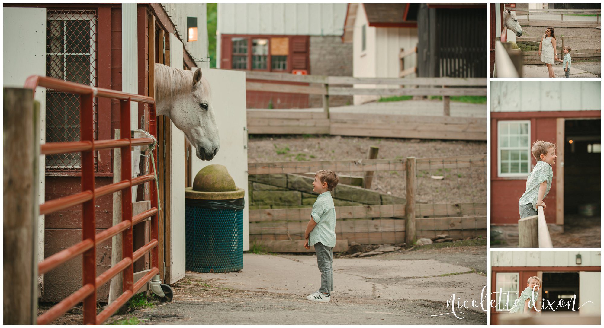 Young boy and his mom admire a horse in his stall at Round Hill Park near Pittsburgh