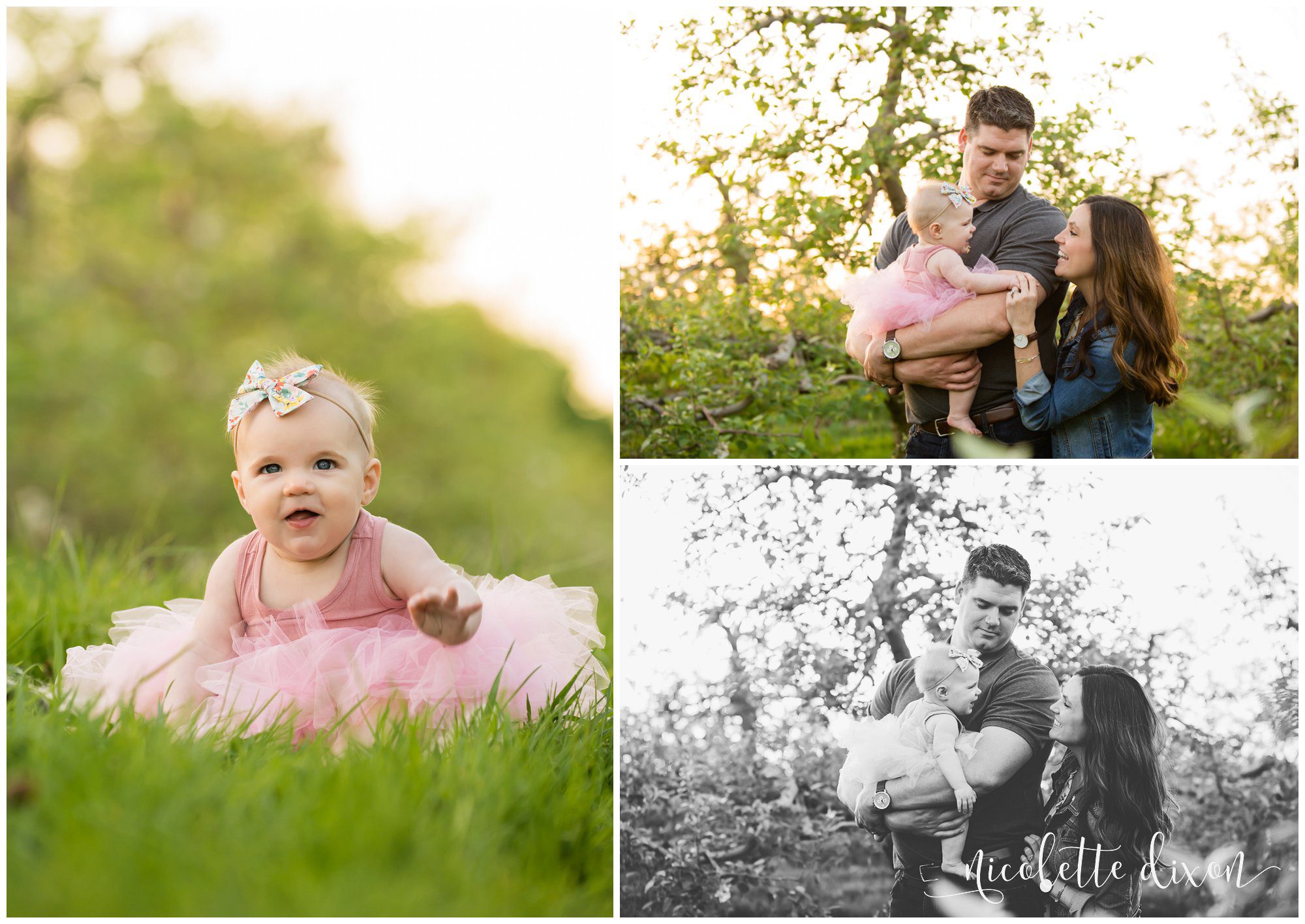 Baby girl wearing pink tutu plays with mother and father in Soergel Orchards near Pittsburgh