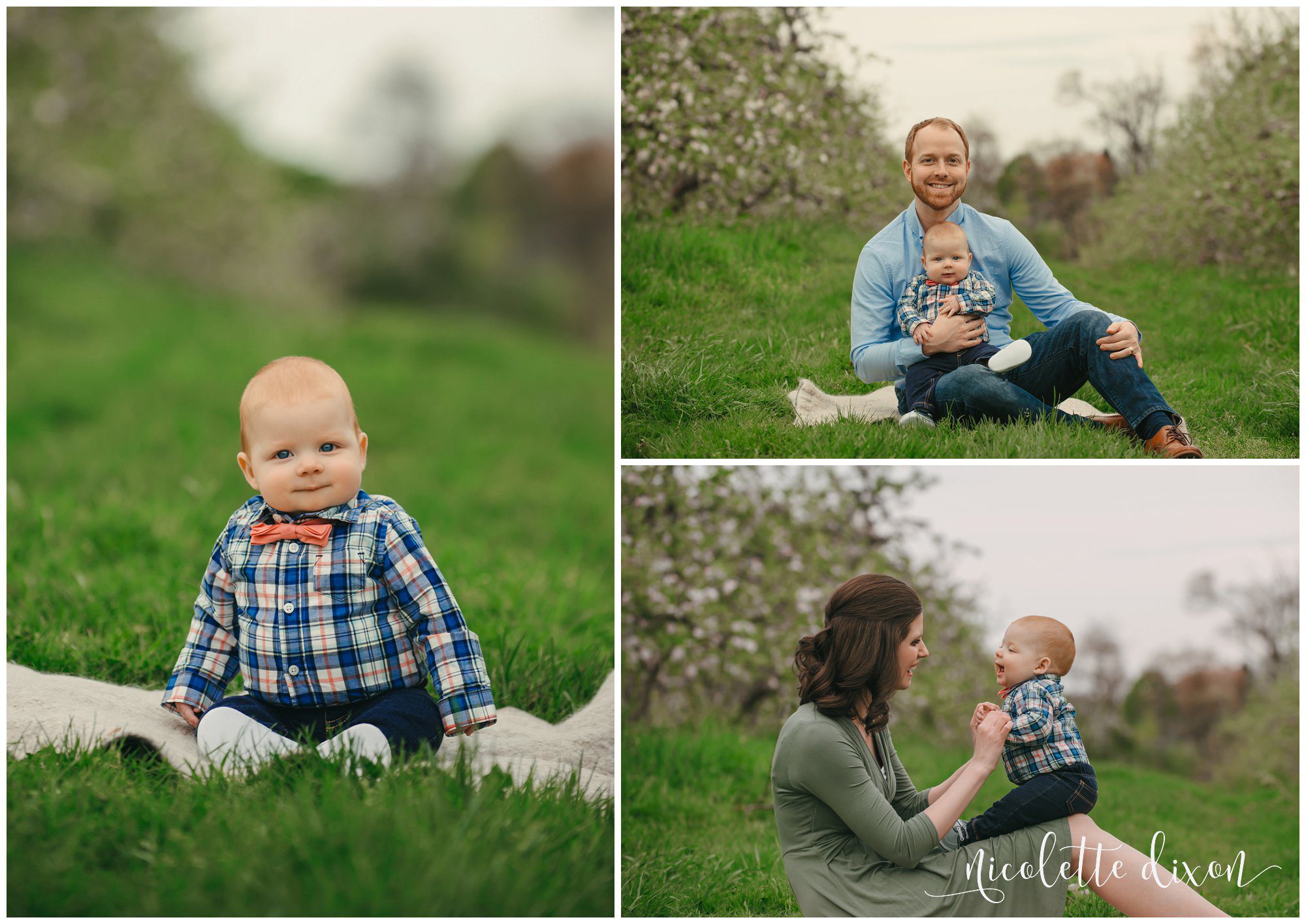 Mom and dad posing with infant son in Soergel Orchards in Wexford near Pittsburgh