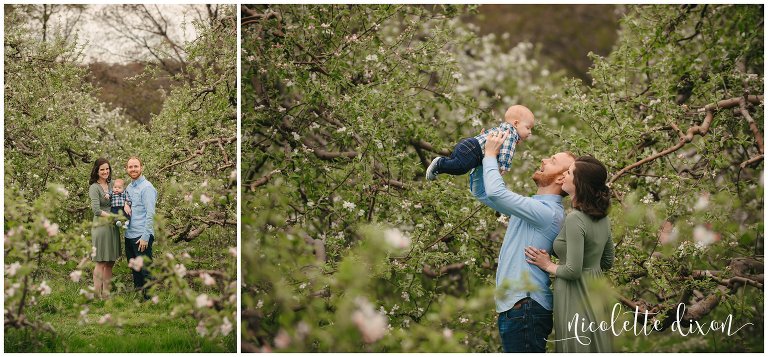 Mother and father joyfully play with infant son in Soergel Orchards in Wexford near Pittsburgh