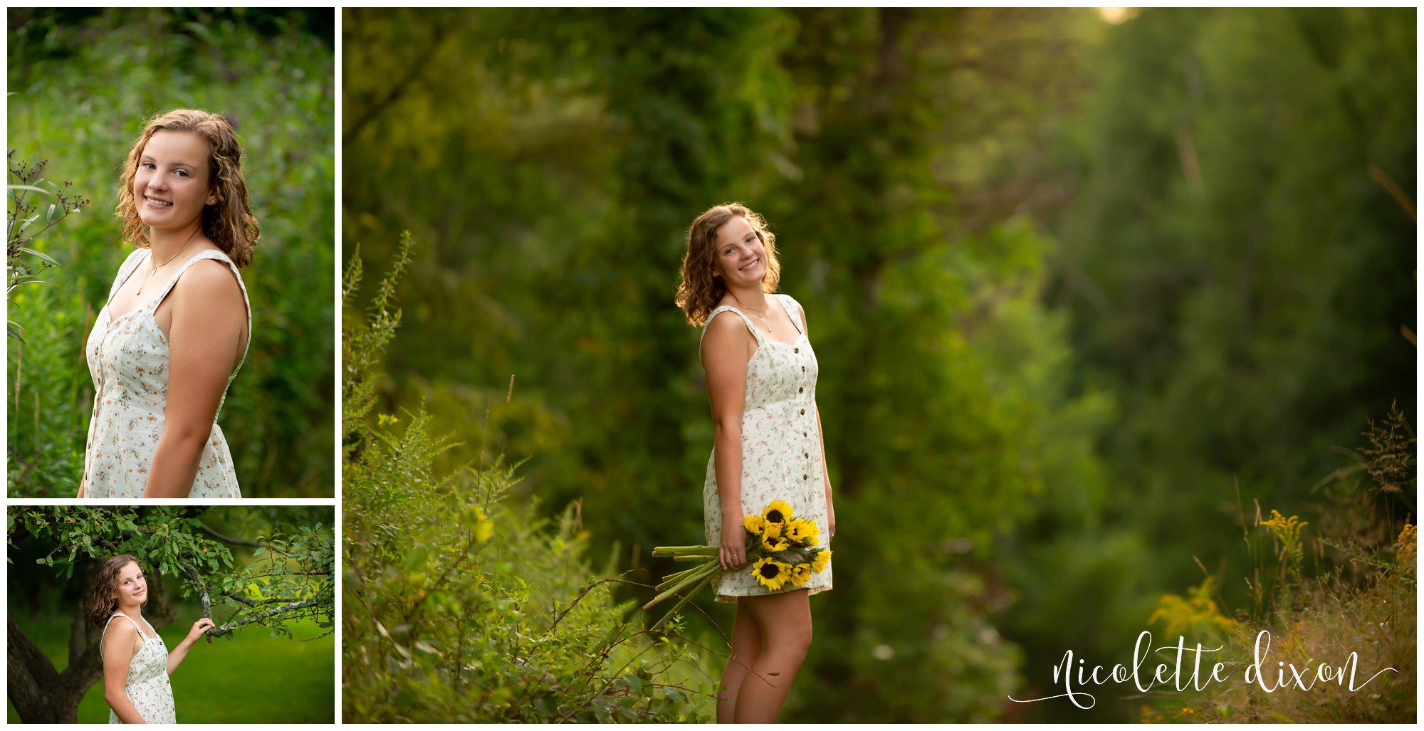 Moon Township senior girl poses with sunflowers at Sewickley Heights Borough Park near Pittsburgh