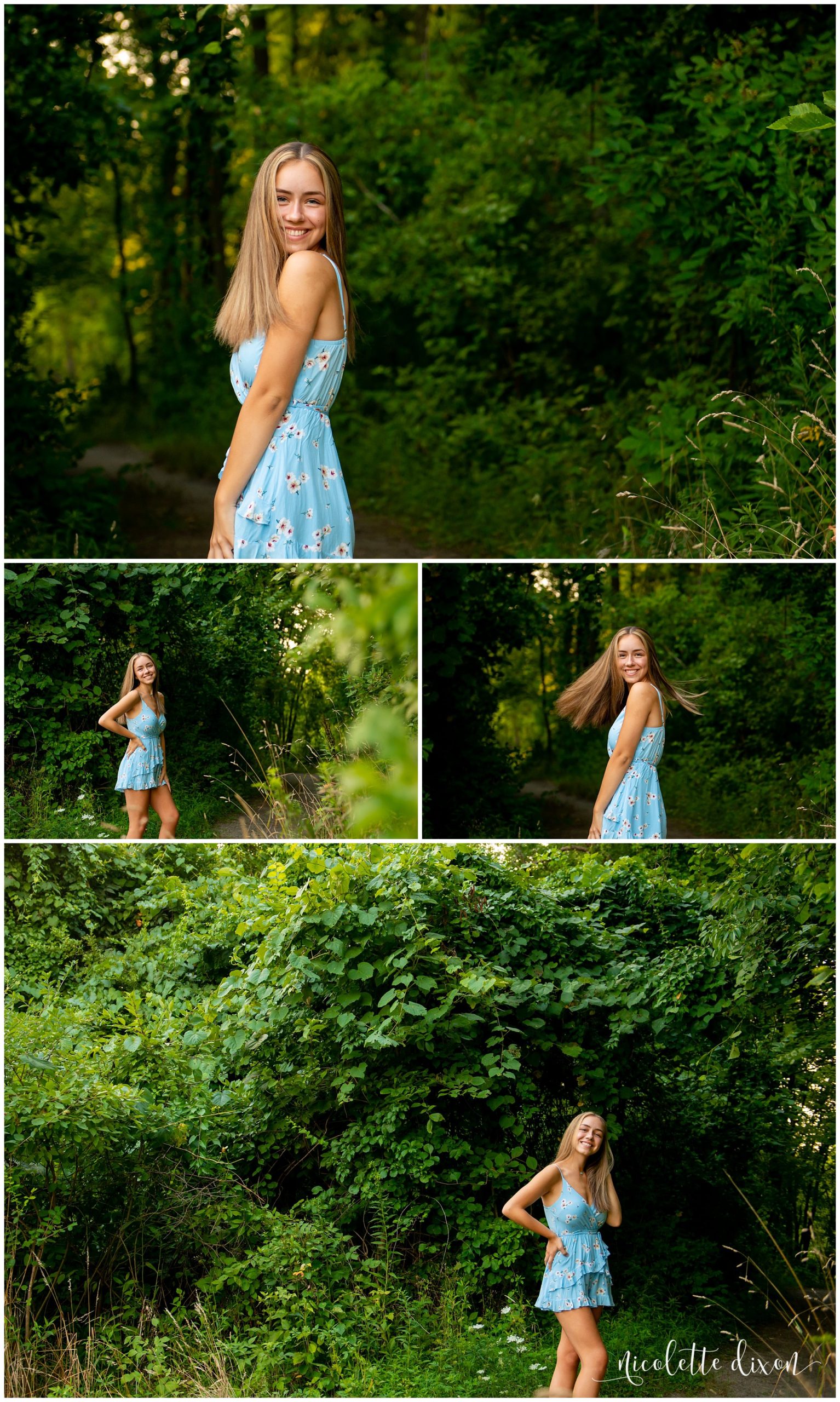High School Senior Girl Wearing Blue Outfits Near Tree at Sewickley Heights Borough Park Near Pittsburgh
