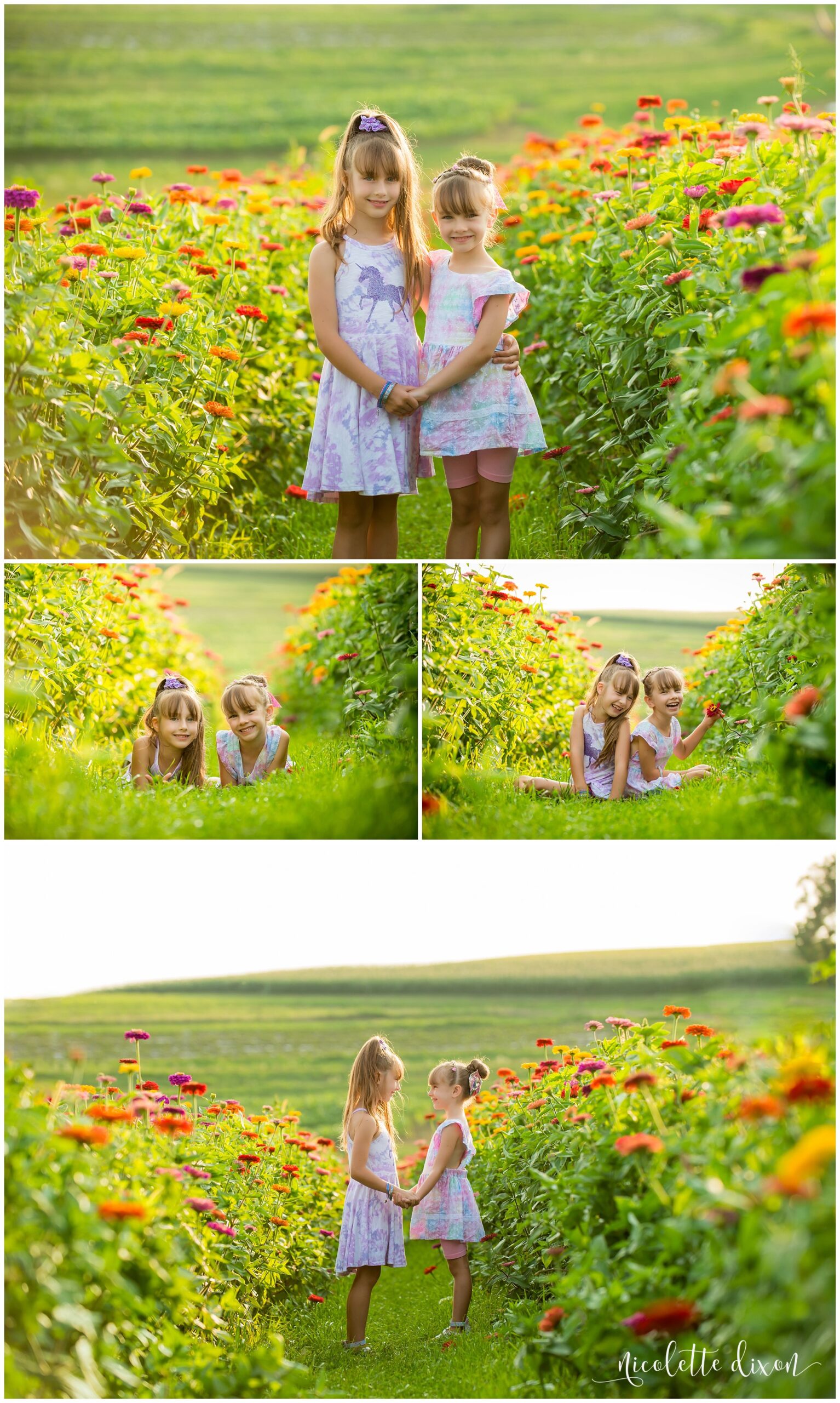 Sisters holding hands in flower field in Simmons Farm in McMurray near Pittsburgh PA
