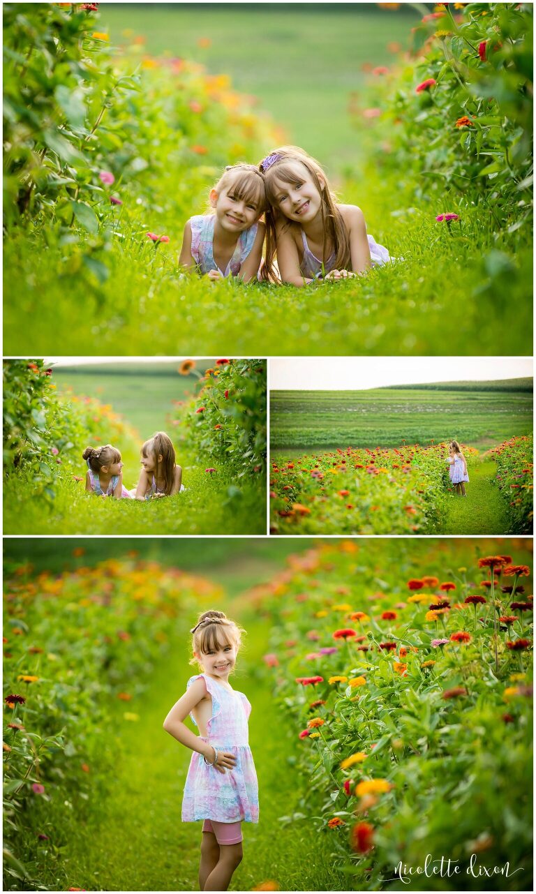 Little girls laying in flower field at Simmons Farm in McMurray near Pittsburgh PA