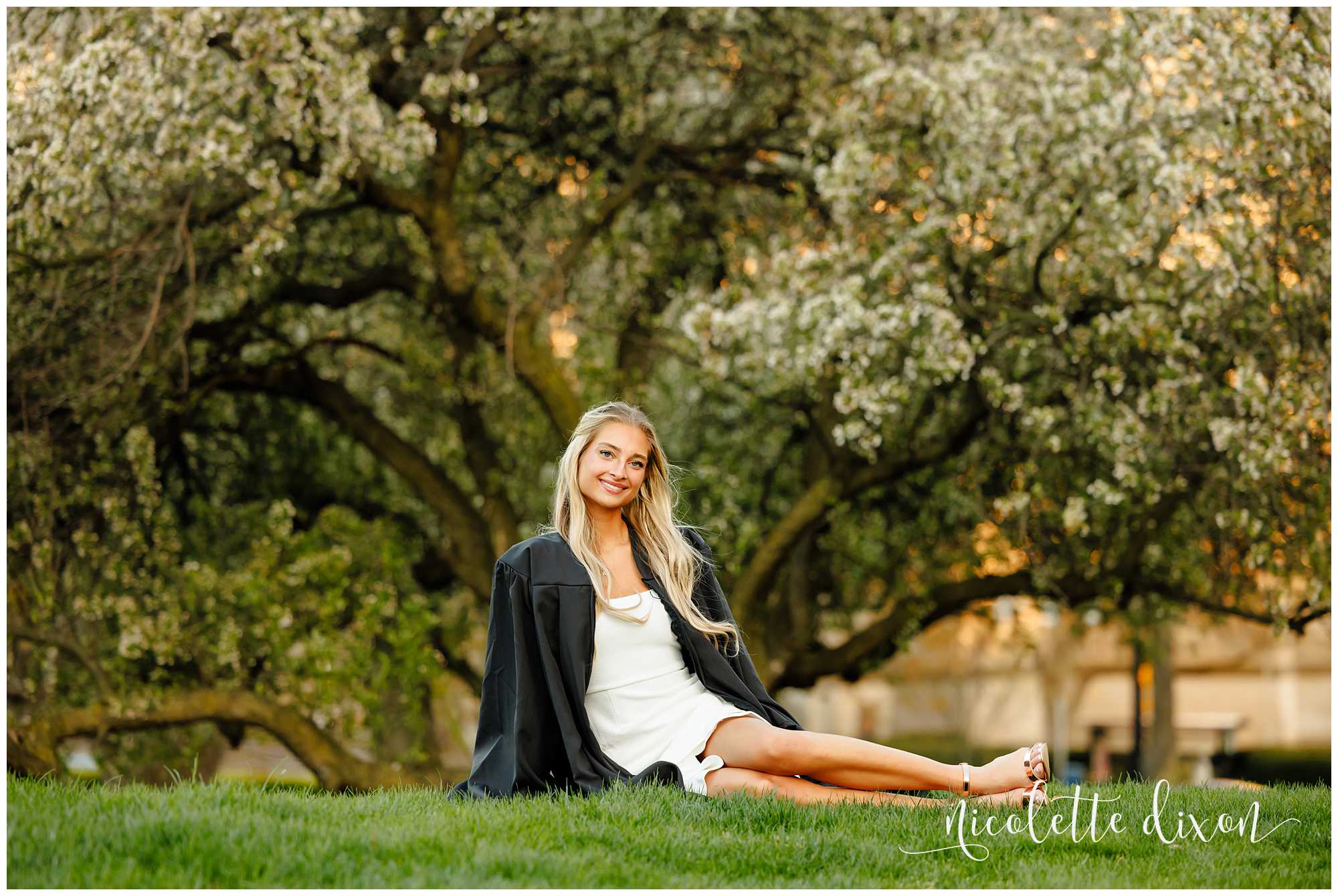 College graduate sitting in front of tree with white blossoms at the University of Pittsburgh 