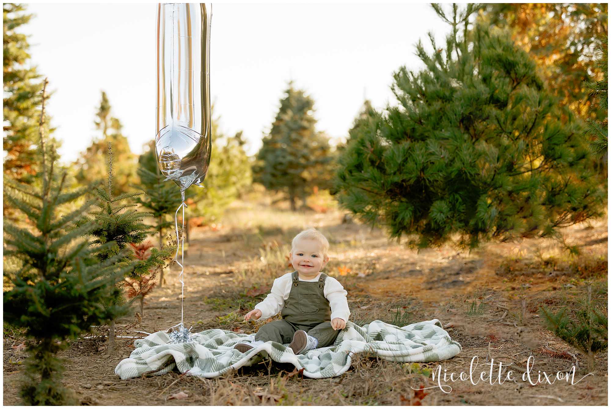 One year old baby boy sitting next to silver 1 balloon at Aliison's Christmas Tree Farm near Pittsburgh PA