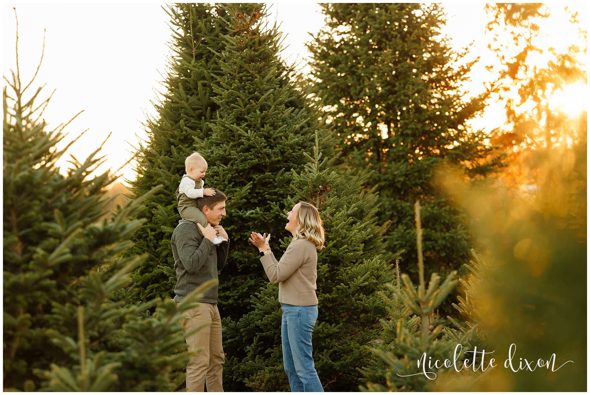 One year old baby boy sitting on dad's shoulders at Aliison's Christmas Tree Farm near Pittsburgh PA